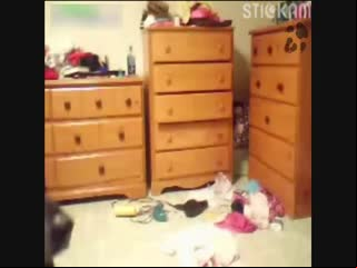 Teen bitch slut gets licked her pussy by good dog - Dog fuck girl
