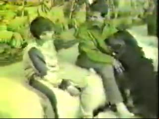 Dirty teen gay fun with dog - Animal sex