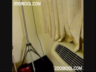 Dog fucking hardcore a bitch slut - Dog porn HD