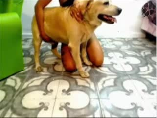 Dog fuck tattooed girl slut at home