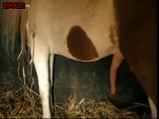 Sexy slut her ponyto fucking ass