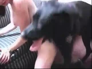 Playful brunette and dog have bestiality sex