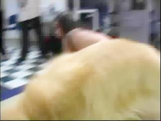 Unbelievable: Lucky Dog's Top Free Sex and Animal Porn Clips!
