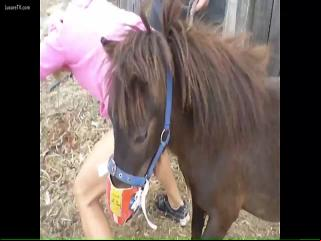 Watch and  these videos of a girl being sexually assaulted by a horse for free.