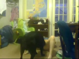 Blonde loves to have his dog be a nerd weenie - Zoo Porn Dog Sex, Zoophilia