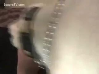 Dog Fuck Purchased by Chubby Girl - Zoo Porn Dog Sex, Zoophilia
