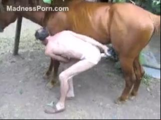 Zoo Porn Horse Sex, Zoophilia: Skinny fuck-hungry stud is having sex with his friend's horse.